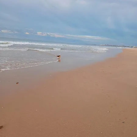 Vilamoura Away From Appartement